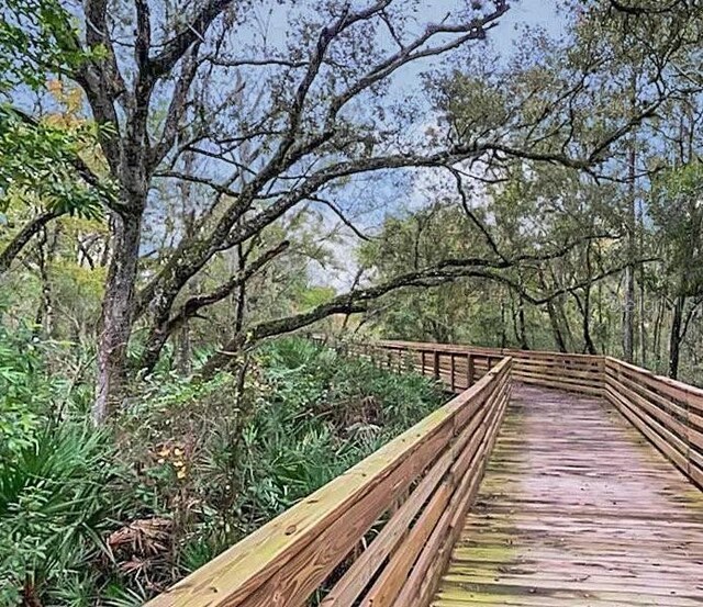 11464 Beau Repost Dr, Orlando, FL 32832 - photo 46