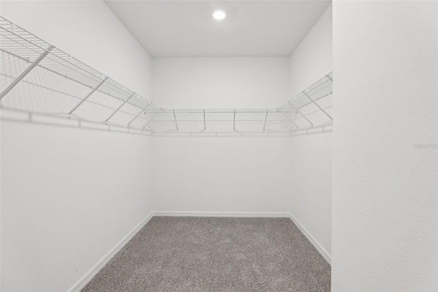 walk in closet featuring carpet