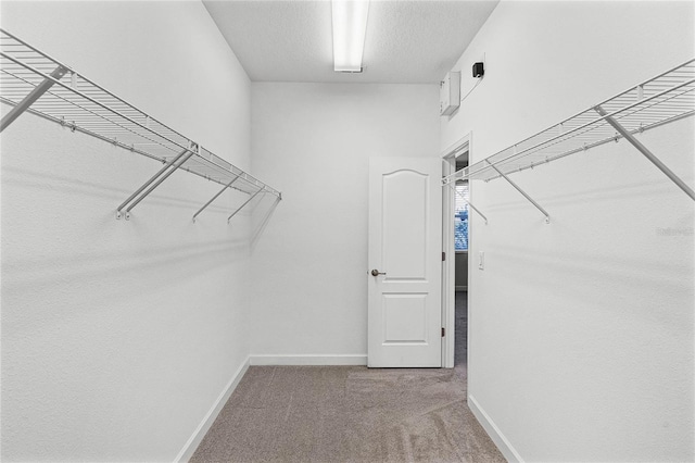 walk in closet with carpet