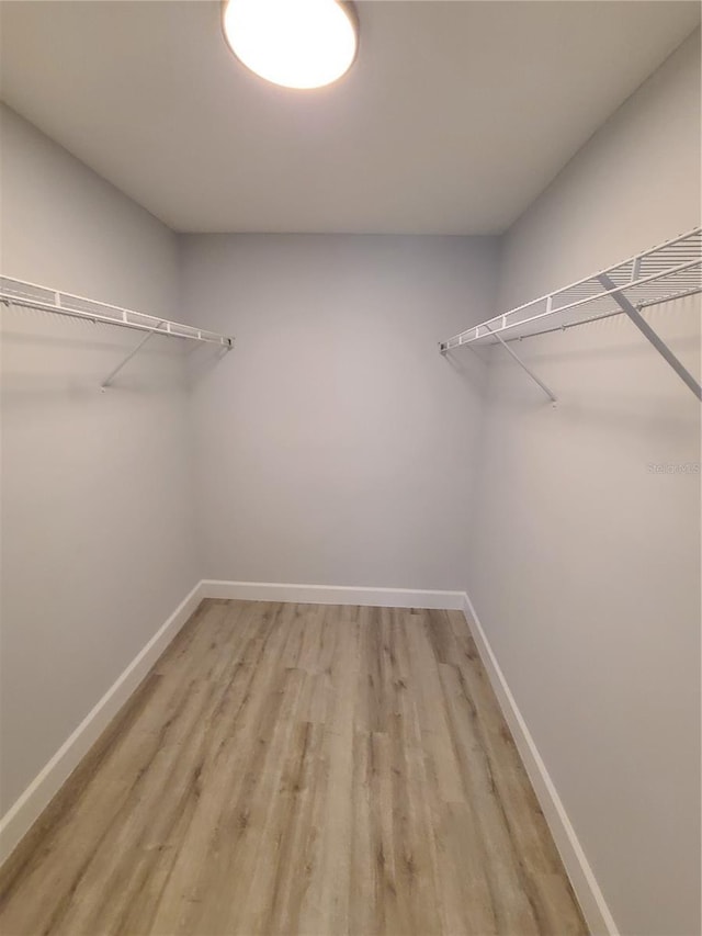 spacious closet with light wood-type flooring