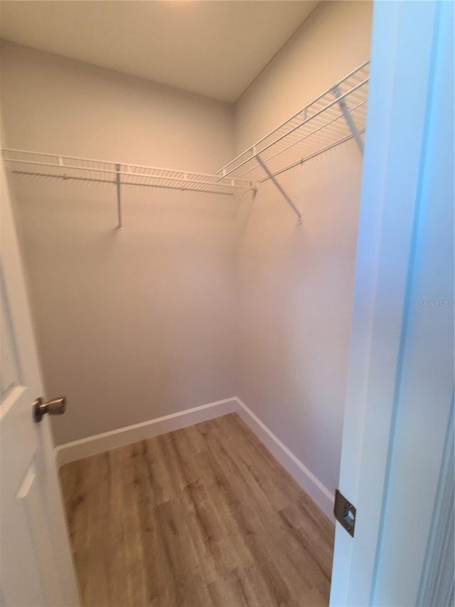 spacious closet with wood finished floors