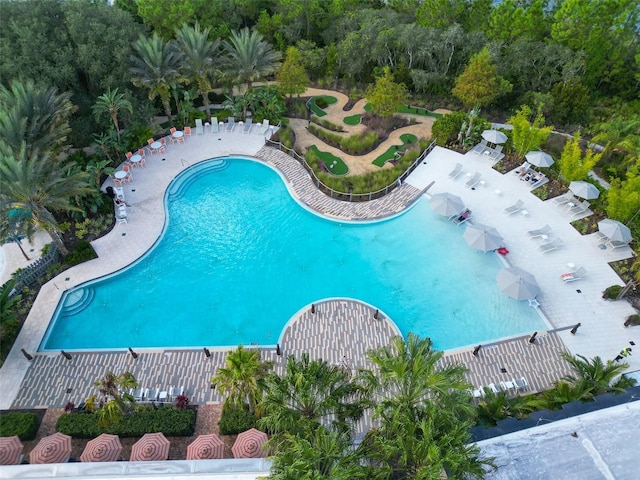 pool with a patio area