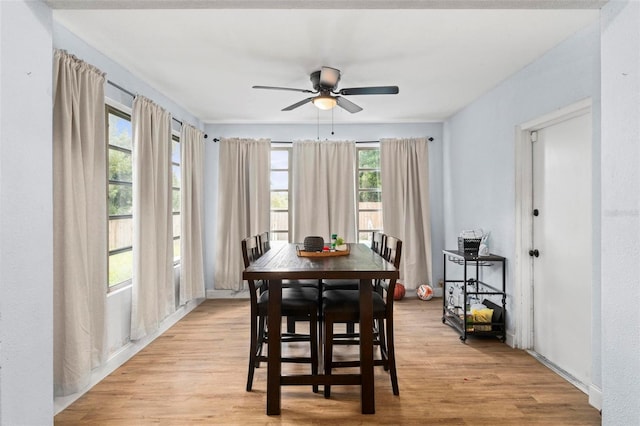 dining space with a ceiling fan and light wood-type flooring