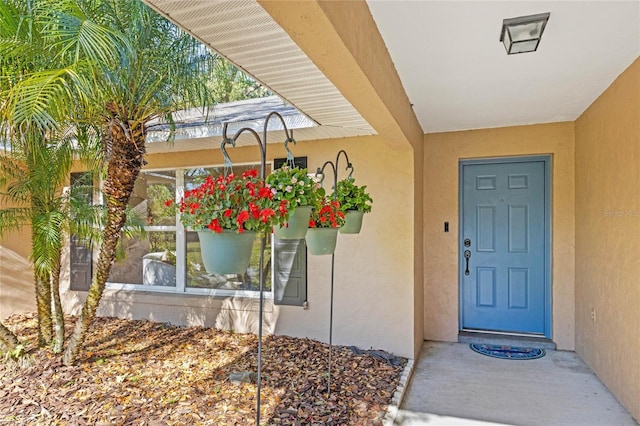 doorway to property featuring stucco siding