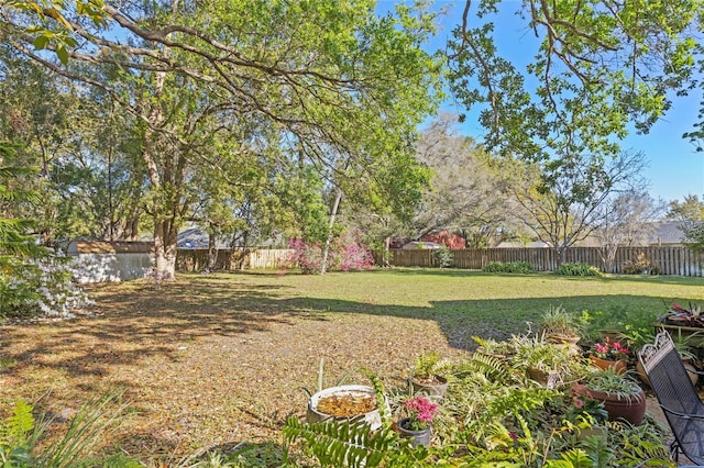 view of yard with a fenced backyard