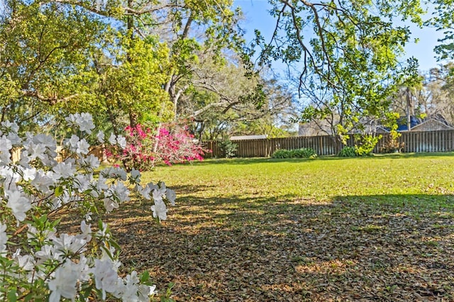 view of yard with a fenced backyard