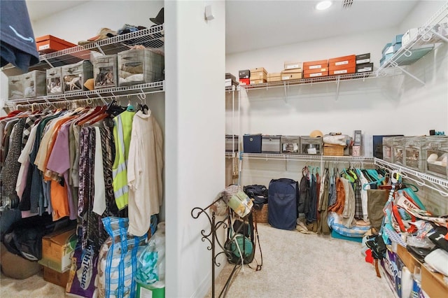 spacious closet featuring carpet flooring