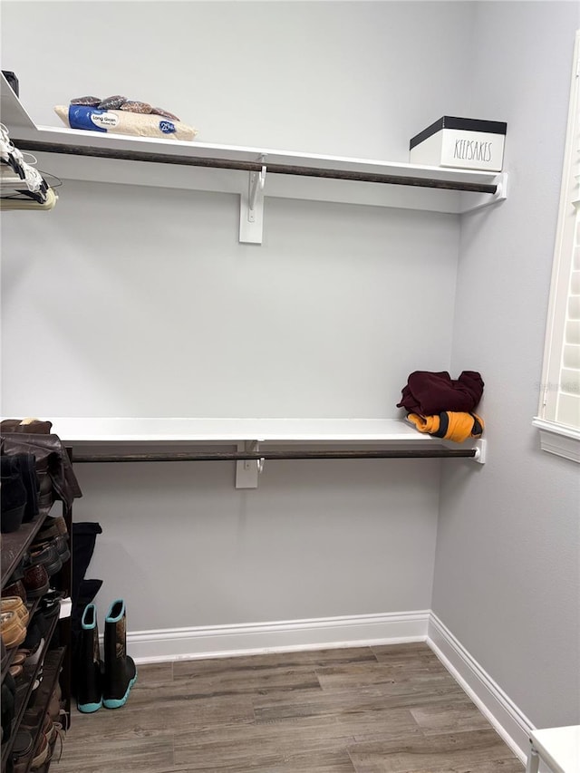 spacious closet featuring wood finished floors