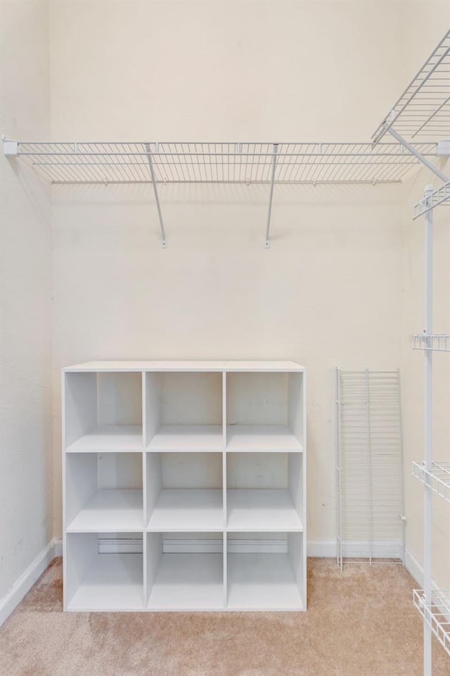 spacious closet with carpet flooring