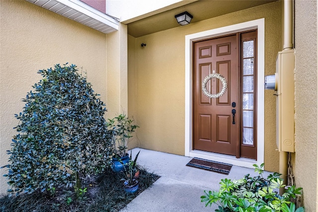 view of exterior entry with stucco siding