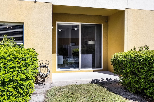 doorway to property featuring stucco siding