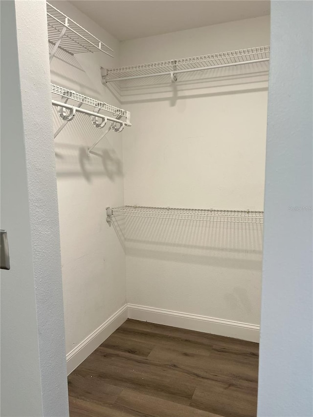 walk in closet featuring dark wood finished floors