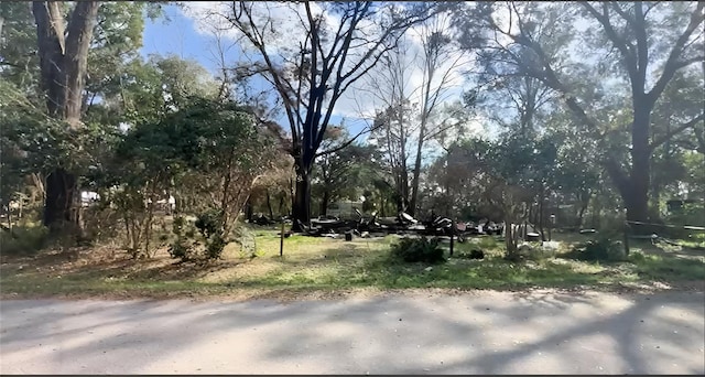 1920 NE 61st St, Ocala FL, 34479 land for sale