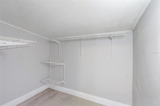 spacious closet featuring light wood finished floors