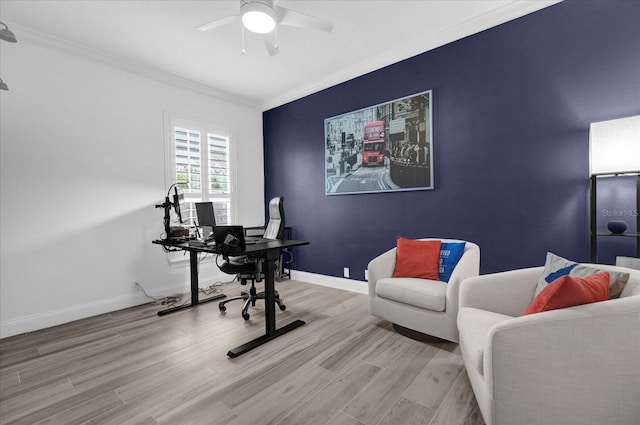 office space with baseboards, a ceiling fan, an accent wall, crown molding, and light wood-type flooring