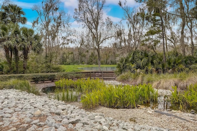 view of property's community featuring a water view