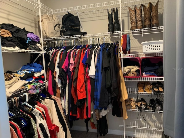 view of spacious closet