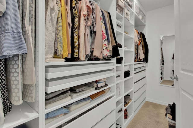 walk in closet featuring light colored carpet