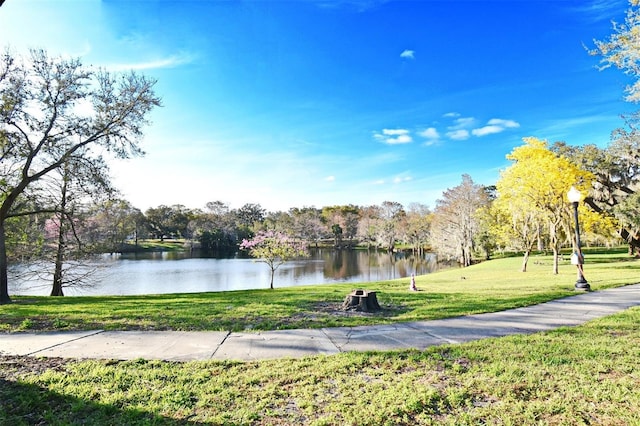 view of property's community featuring a water view and a lawn