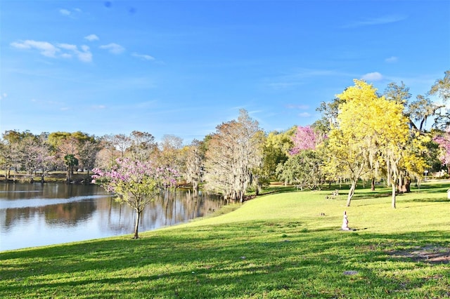 view of community featuring a water view and a yard