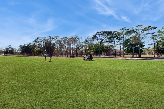 view of property's community with a yard