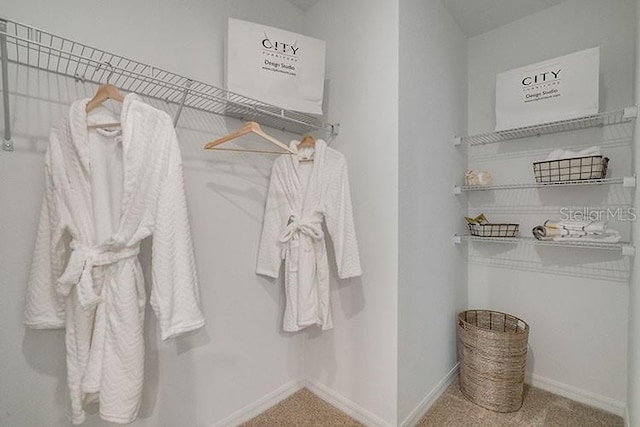 spacious closet featuring carpet flooring