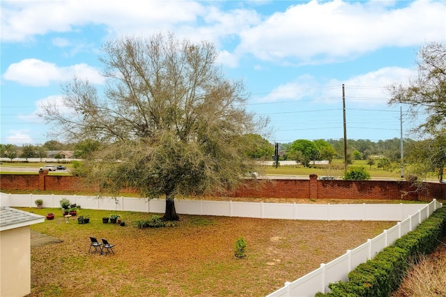 view of yard with a fenced backyard