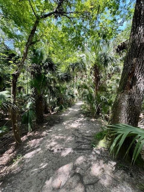 5142 Sage Cedar Pl, Sanford, FL 32771 - photo 50