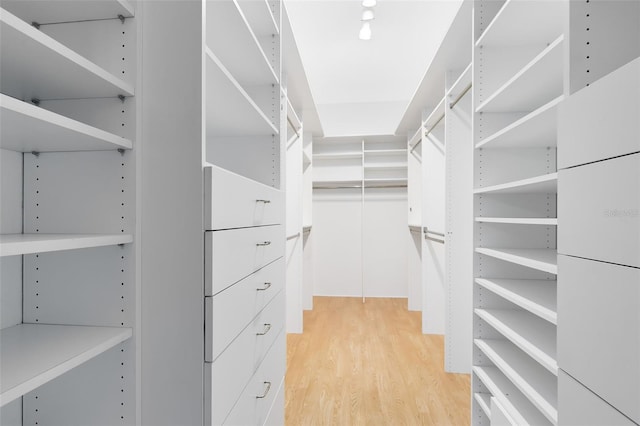 spacious closet featuring light wood-style floors