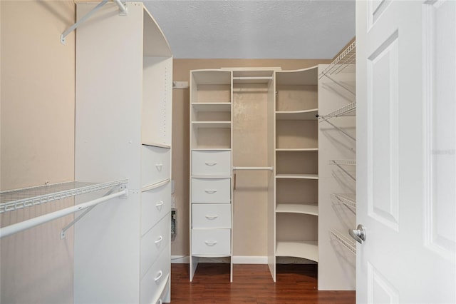 spacious closet featuring dark wood finished floors