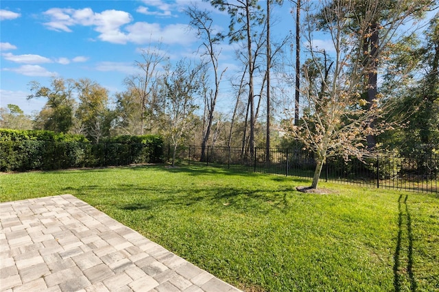 view of yard featuring a patio area and a fenced backyard