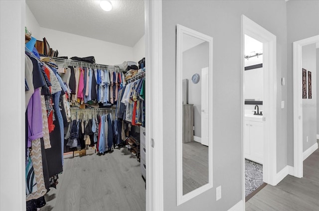 walk in closet featuring a sink and wood finished floors