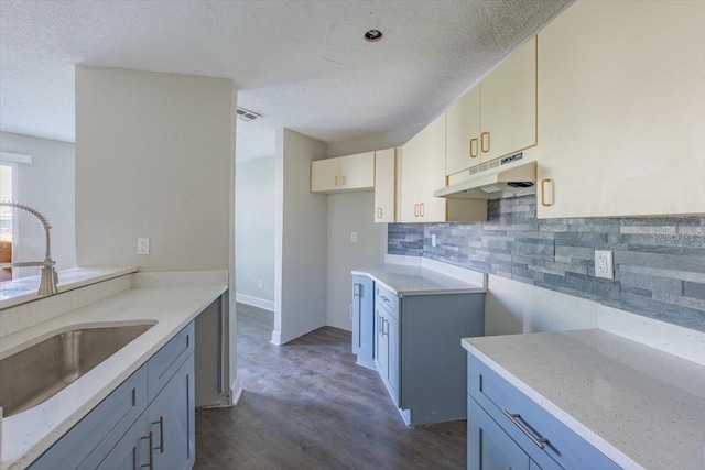 kitchen featuring dark wood finished floors, visible vents, decorative backsplash, a sink, and under cabinet range hood