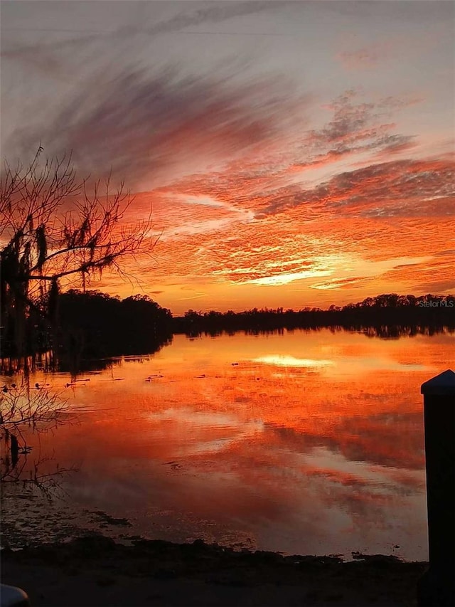 view of nature featuring a water view