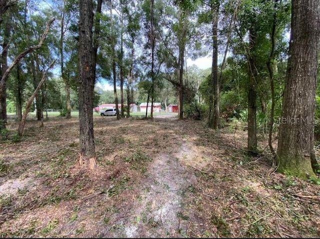 Listing photo 2 for NW 80th Ave, Fanning Springs FL 32693