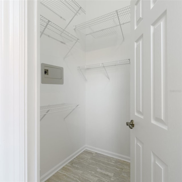 spacious closet featuring wood finished floors