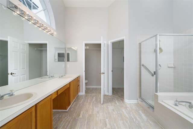 bathroom with a shower stall, a high ceiling, and a sink