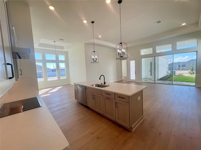 kitchen with open floor plan, a raised ceiling, a sink, and stainless steel dishwasher