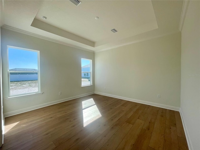 empty room featuring a wealth of natural light and a raised ceiling