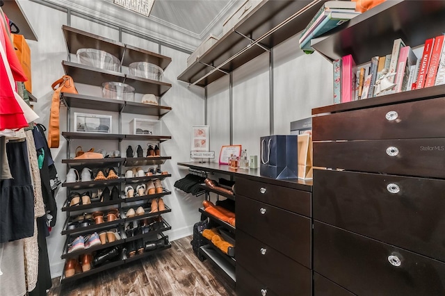 spacious closet featuring wood finished floors