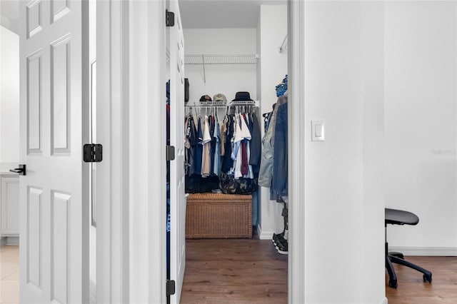 walk in closet featuring wood finished floors