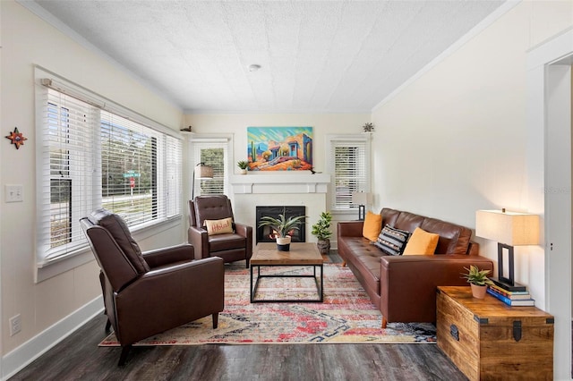 living area featuring a warm lit fireplace, a textured ceiling, wood finished floors, and baseboards