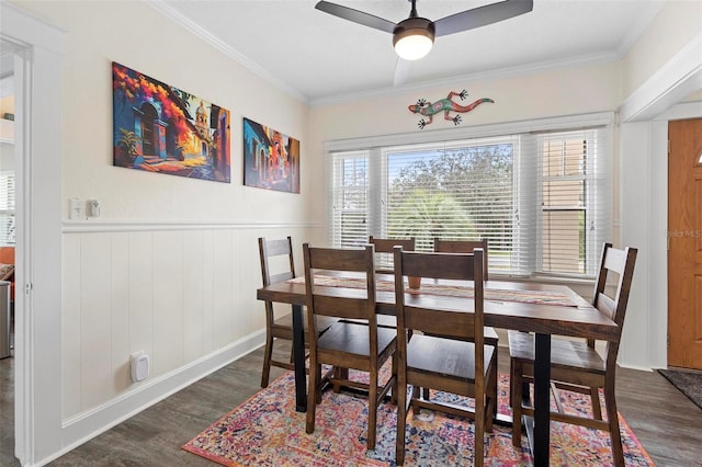 dining room featuring ornamental molding, ceiling fan, and dark wood-type flooring