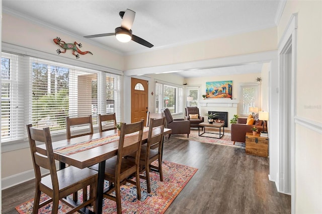 dining space with a warm lit fireplace, dark wood-style floors, and ornamental molding