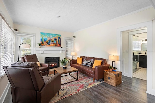 living area featuring a glass covered fireplace, a textured ceiling, and wood finished floors