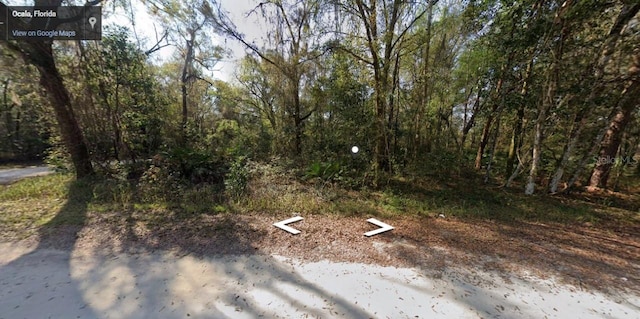 SW 14th Pl, Ocala FL, 34481 land for sale