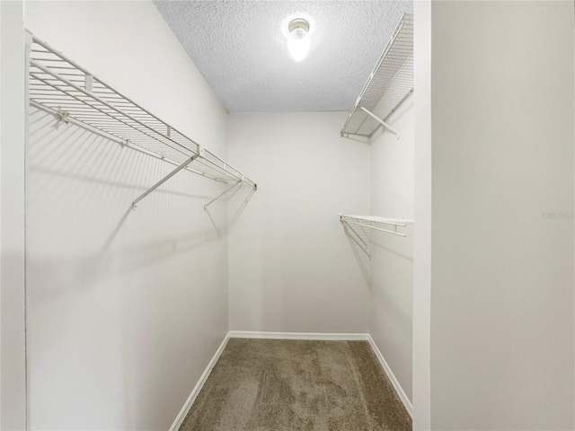 walk in closet with carpet