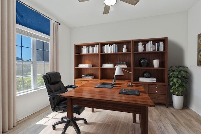 office featuring a ceiling fan and light wood finished floors