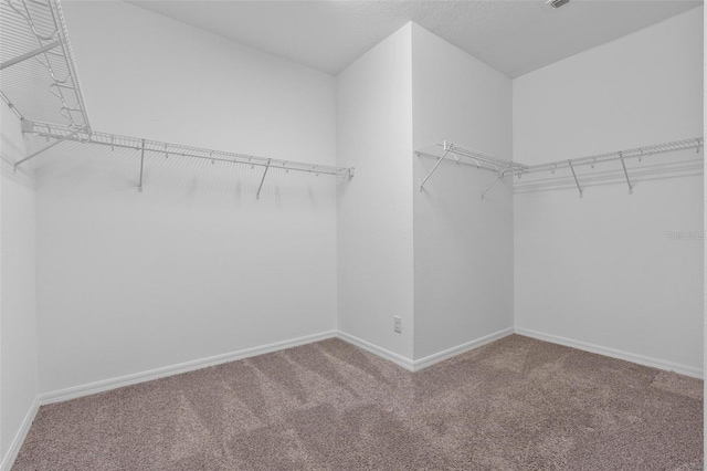 walk in closet with carpet floors