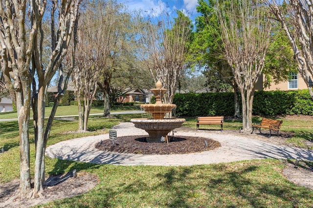 view of community with a lawn